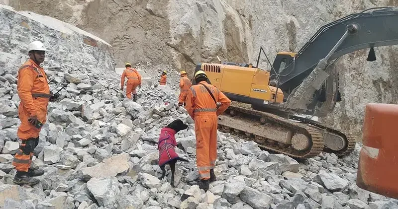 Hindistan da taş ocağında göçük: 1 ölü