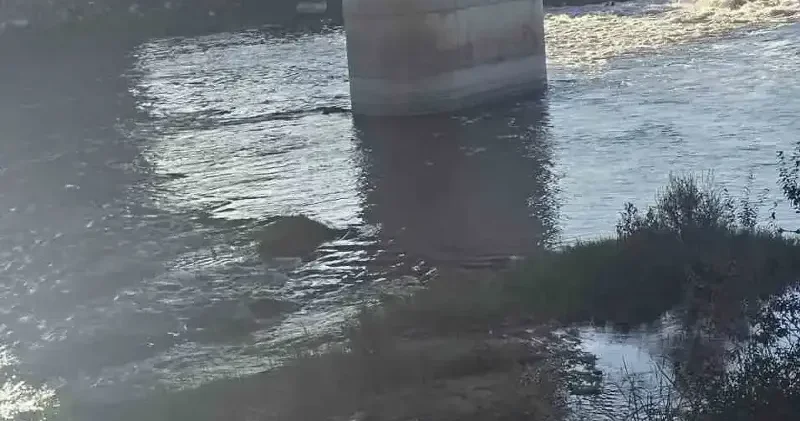 Canbolu Deresi’nde acı oyun Bursa Haberleri