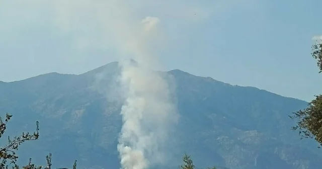 Muğla Seydikemer de orman yangını Muğla Haberleri