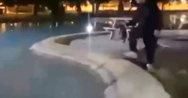 Sokak kedisini defalarca süs havuzuna attılar Antalya Haberleri