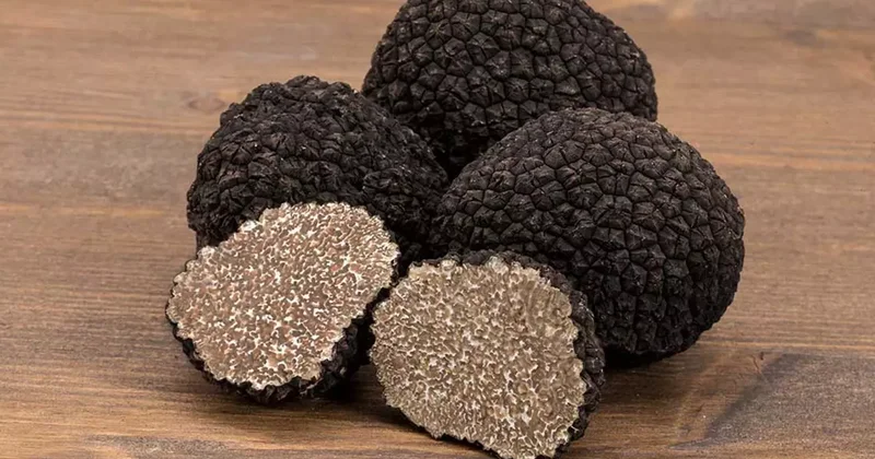 Vücudunuzu kanserden ve enfeksiyonlardan koruyor! İltihabı önlüyor