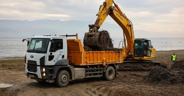 Sapanca Gölü kıyılarında ekosistemi koruyan temizlik Sakarya Haberleri