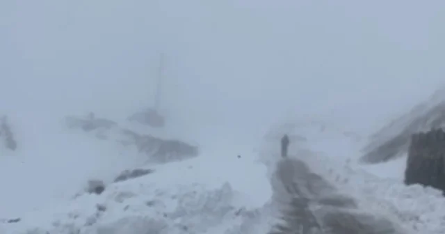 Şırnak ta kardan kapanan 6 köy yolu ulaşıma açıldı Şırnak Haberleri