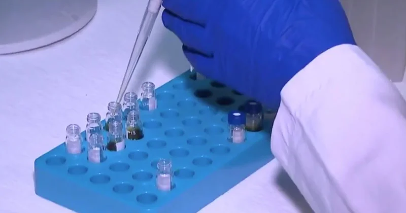 Pestisit kalıntılarının maksimum limitlerine ilişkin esaslar düzenlendi