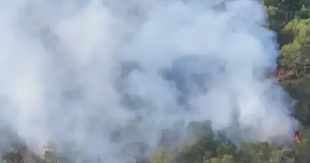 Muğla da orman yangını: 1 hektar alan zarar gördü VİDEO İZLE