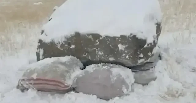 MSB duyurdu: Van hudut hattında 68 kilo 852 gram uyuşturucu madde ele geçirildi VİDEO İZLE