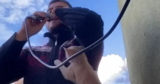 Kastamonu da ezan okuyan imamın üstüne kedi tırmandı VİDEO İZLE