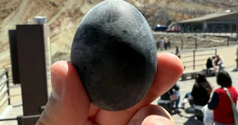 Kömür karası yumurtalar altından daha değerli: 4 bin 843 liraya satılıyor Sözcü Gazetesi