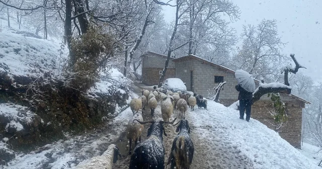 Van da Karabet Geçidi nde kar yağışı etkili oldu Van Haberleri