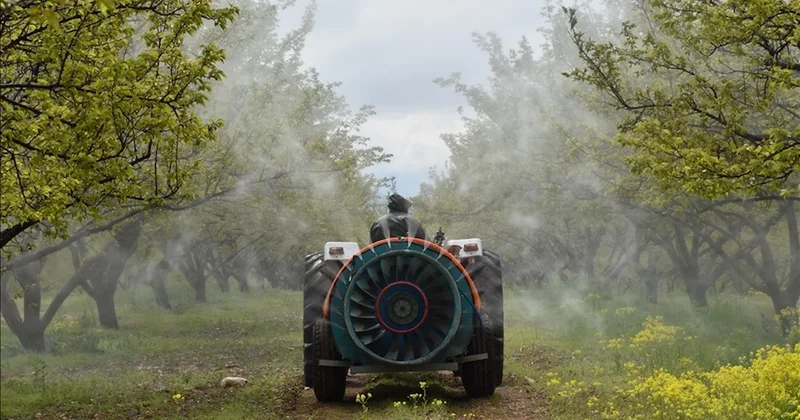 Gıdalarda pestisit limitleri güncellendi: Listeye bu bitki de eklendi Sözcü Gazetesi