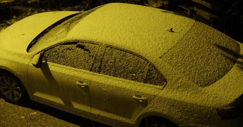 Bitlis te soğuk hava yerini kara bıraktı