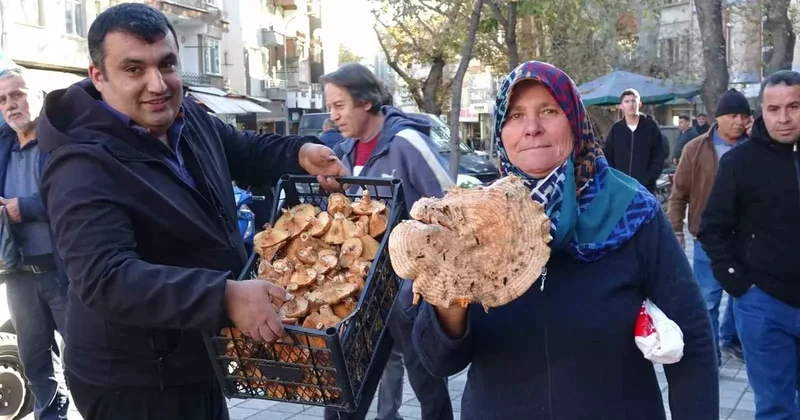Kütahya’da melki mantarı çoğaldı, fiyatlar düştü