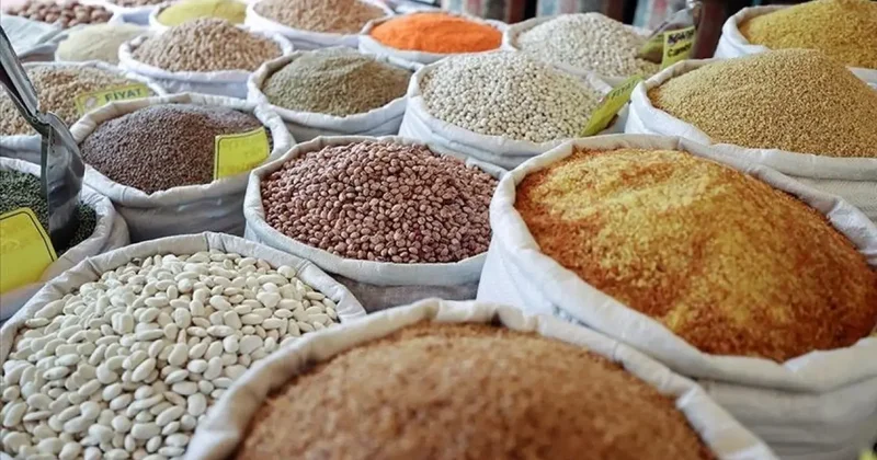 Güneydoğu Anadolu nun hububat ihracatı 10 ayda 2,9 milyar dolara ulaştı