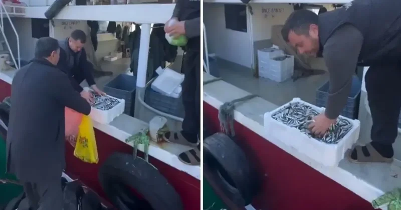 Kasalar dolusu balığı bedava dağıttılar! Nedeni de bir o kadar ilginç