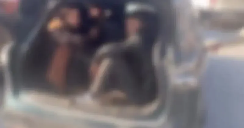 Hatay’da 8 kaçak göçmen yakalandı