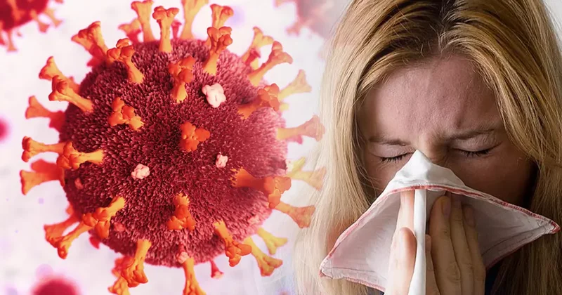 Mutasyona uğradılar: Bu kış birden fazla virüs dolaşımda