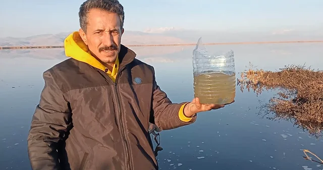 Atıklar Eber Gölü ndeki yaşamı yok etti Afyonkarahisar Haberleri