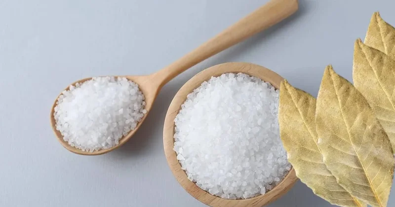 Evinize bir kase tuz ve üç defne yaprağı koyun kış boyu rahat edeceksiniz Sözcü Gazetesi