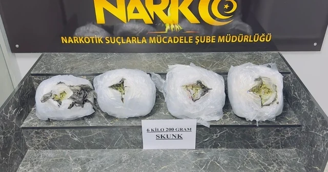 Şırnak ta 6 kilo 200 gram skunk ele geçirildi Şırnak Haberleri