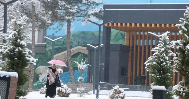 Van haberleri Van da lafa lapa kar yağdı! 90 yerleşim yeri ulaşıma kapandı 16 Aralık 2025