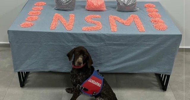 Denizli de jandarma narkotik ekipleri zehir tacirlerine göz açtırmıyor Jandarma narkotik ekiplerinin başarılı operasyonunda 28 bin adet uyuşturucu hap ele geçirildi Denizli Haberleri