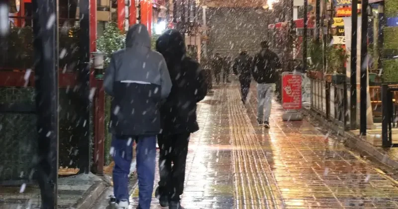 Van merkezde lapa lapa kar altında gezinti Van Haberleri