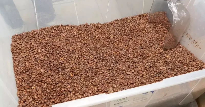 Türkiye de kişi başı kahve tüketimi 10 yılda 4 kat arttı