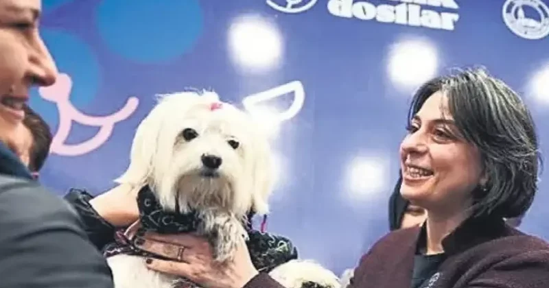 CHP li Sinem Dedetaş ın belediye imkanlarıyla köpeğine yaptığı masraf tepki çekti