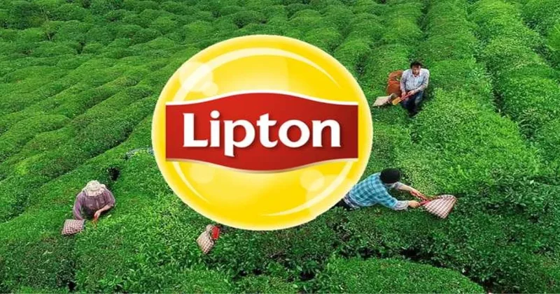 Türkiye den çekilen Lipton un devri tamamlandı