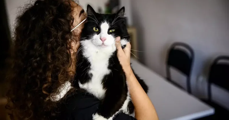 1 dakikalık işlemi yaptırmayan evcil hayvan sahipleri 2 hafta sonra 10 bin TL ödeyecek