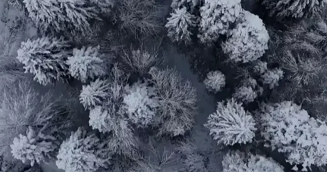 Artvin’in yüksekleri beyaza büründü: Kar yağışı etkisini sürdürüyor VİDEO İZLE