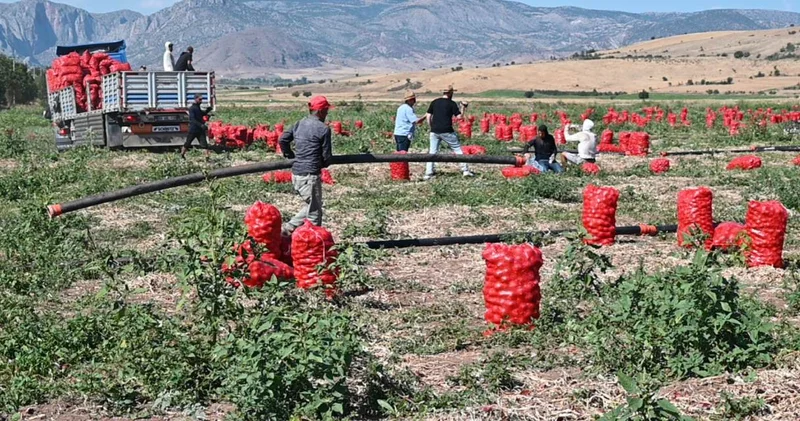 MHP den çiftçi isyanı: Girdi fiyatları yüzde 50 artarken satış fiyatı yarıya düştü