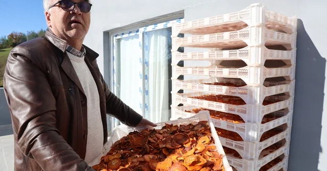 Köyde kurulan tesisle kurutulan cennet hurmaları Almanya ya ihraç edildi Adana Kozan da bahçede 40 ile 60 TL arasında alıcı bulan hurmanın kurusu ise 500 ile 650 TL arasında hem iç pazara hem de ihracata gönderildi Adana Haberleri