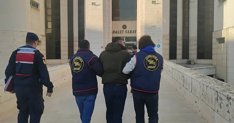 Zeytin hırsızları yakalandı Sözcü Gazetesi