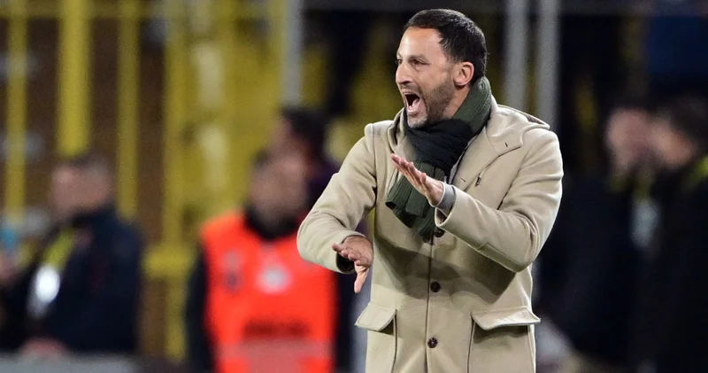 Domenico Tedesco: Oynamak istediğimiz sisteme hazırız! Fenerbahçe Haberleri