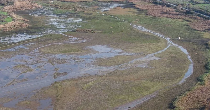 İstanbul barajları kritik seviyede: Son 10 yılın en düşük Aralık ayı!