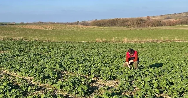 Kırklareli nde kanola gelişimi inceleniyor Kırklareli Haberleri