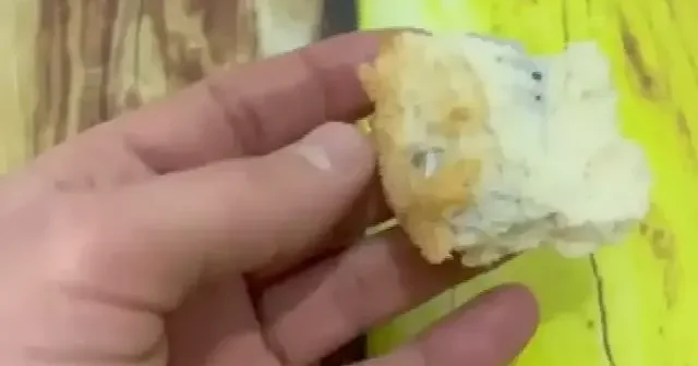 Kahvaltı yaparken canından olacaktı: Ekmeğin içinden çıkan cisim görenleri şoke etti: VİDEO İZLE