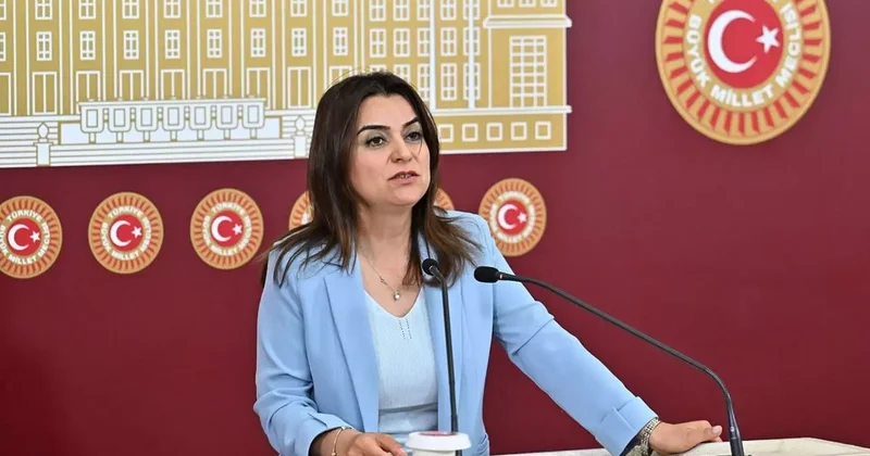 DEM li Koçyiğit: Silahların susması bir sonuç değil, başlangıçtır