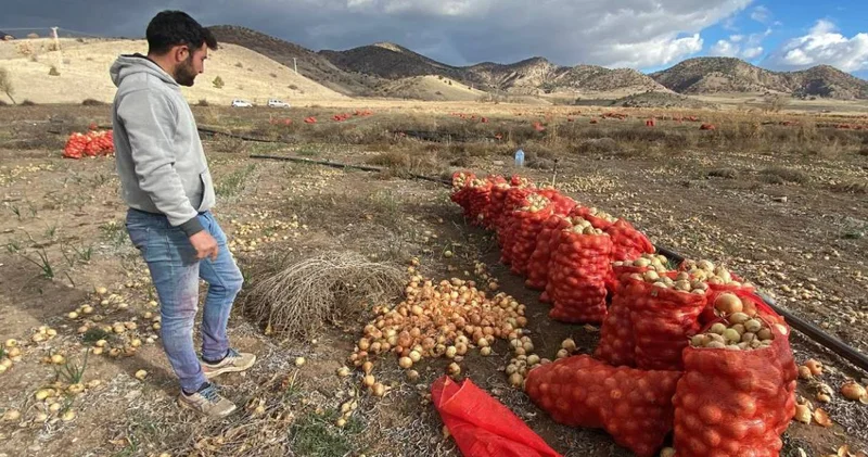 Pazarda 15 lira tarlada bedava!