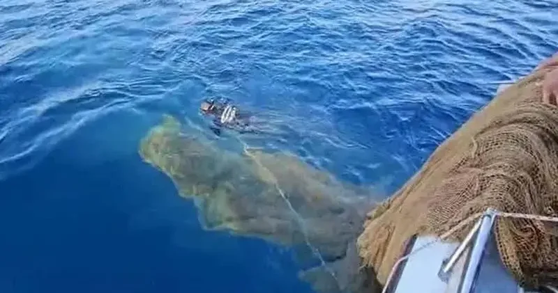 Muğla da denizde hayalet ağ temizliği