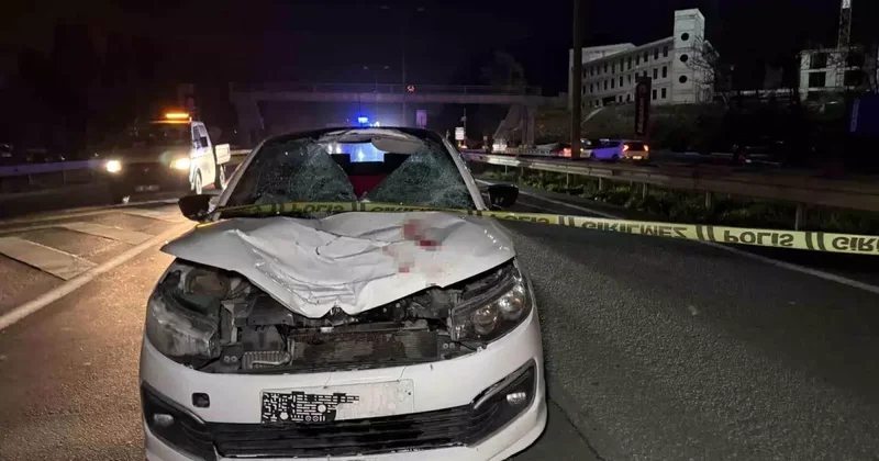 Ehliyetsiz sürücü dehşet saçtı! 70 yaşındaki adam hayatını kaybetti