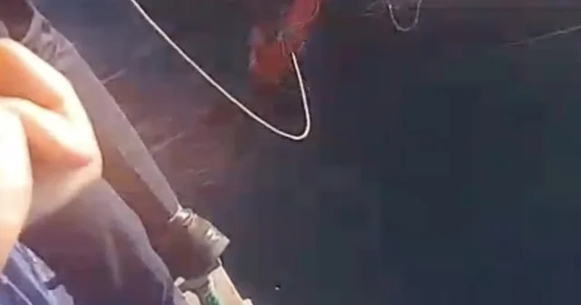 Feribottan atlayan kişiyi Gestaş personelleri ve balıkçılar kurtardı Çanakkale Haberleri