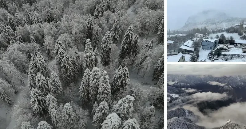 Karadeniz beyaza büründü: 4 ilde kar etkili oldu Ordu Haberleri