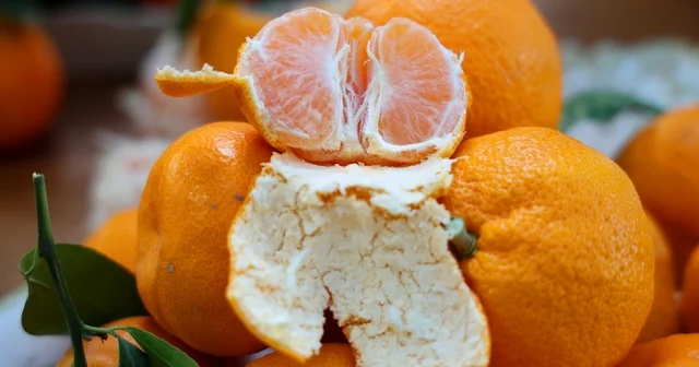 En ucuz meyve mandalina: Dalında 3, pazarda 5 lira Adana Haberleri