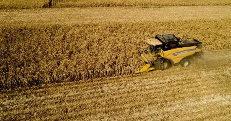 TÜİK: Tarım ürünleri üretici fiyatları aylık yüzde 1,56 azaldı