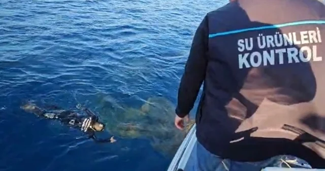 Denizlerdeki hayalet ağlar temizleniyor Muğla Haberleri