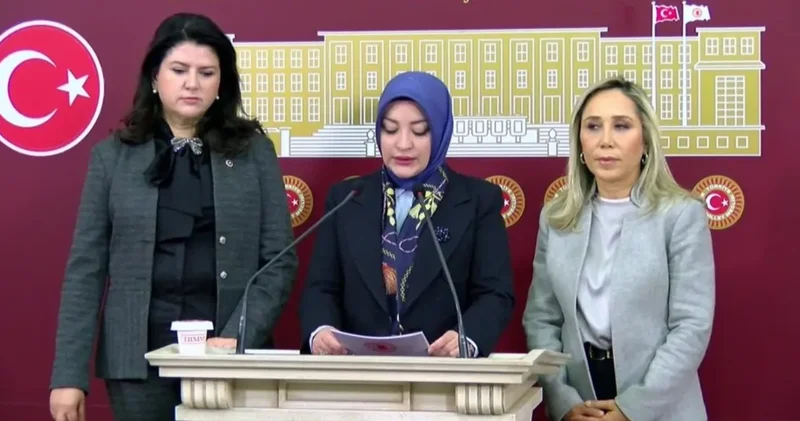 Meclis teki taciz skandalını araştırmak için kurulmuştu: KEFEK Başkanı tepkilere siyasi saik dedi