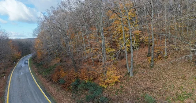 Dumanlı Dağı nda sonbahardan kalma renk cümbüşü Çanakkale Haberleri