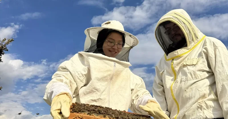 Kovanları babasından aldı! Askeri disiplinle bal üretiyor